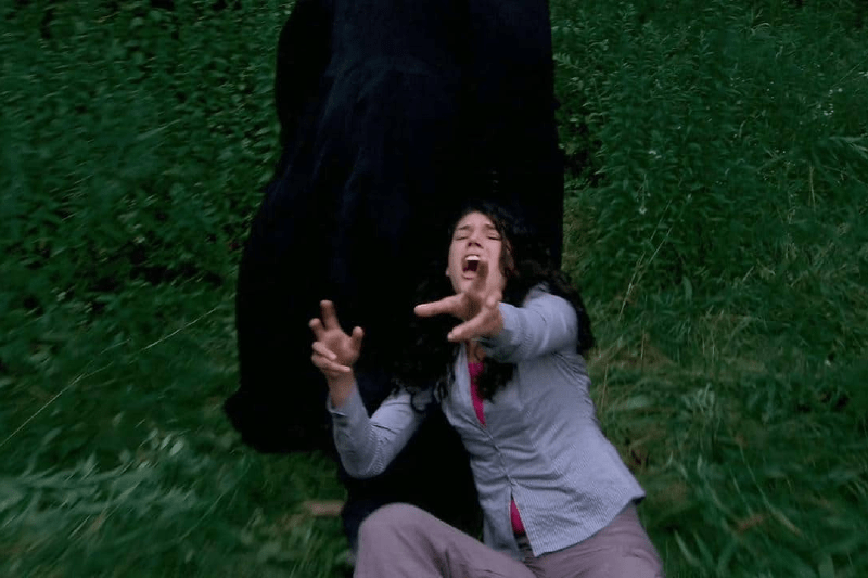 Don't Go In the Woods